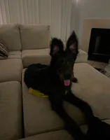 processed/94470309-b405-44a0-a614-8fdf27e81793/listing/fa20636e-3e41-422c-a9ad-0bb5c37020a5/edf506b5-2c24-496c-b90b-6fea9bc42b39