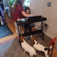 processed/9447e9a0-cf93-40a6-b4c3-9faff4d5977c/facility/8d3c6e96-279c-471c-8146-7fe32a5b7a63