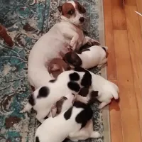 processed/9447e9a0-cf93-40a6-b4c3-9faff4d5977c/facility/a585d2c0-08db-4314-8508-913209f57c2d