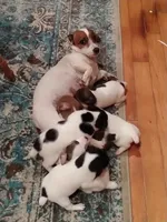 processed/9447e9a0-cf93-40a6-b4c3-9faff4d5977c/facility/a585d2c0-08db-4314-8508-913209f57c2d