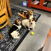 processed/9447e9a0-cf93-40a6-b4c3-9faff4d5977c/facility/a94a993d-3c33-4c08-9697-a3ee2e645bc8