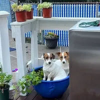 processed/9447e9a0-cf93-40a6-b4c3-9faff4d5977c/facility/bb135104-a237-4460-95ca-b278e044ac46