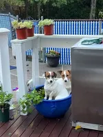 processed/9447e9a0-cf93-40a6-b4c3-9faff4d5977c/facility/bb135104-a237-4460-95ca-b278e044ac46