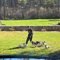 processed/9447e9a0-cf93-40a6-b4c3-9faff4d5977c/facility/db9b656c-c22e-4aad-a36d-5b8b826cc2e8