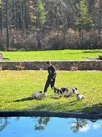 processed/9447e9a0-cf93-40a6-b4c3-9faff4d5977c/facility/db9b656c-c22e-4aad-a36d-5b8b826cc2e8