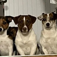 processed/9447e9a0-cf93-40a6-b4c3-9faff4d5977c/facility/e4a965d0-fa06-4b8a-bbb0-2f1086514ebc