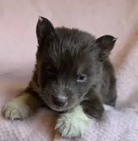 processed/944883b1-5858-4e7e-82eb-cec7e26d2e88/listing/0312239b-fb76-419b-96ed-828a606a8e45/127a5dda-67e3-40af-aafd-96ac1d166e7b