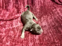 processed/944883b1-5858-4e7e-82eb-cec7e26d2e88/listing/0312239b-fb76-419b-96ed-828a606a8e45/9723a6a9-5c40-4e52-891a-1fb5c070b068