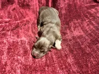 processed/944883b1-5858-4e7e-82eb-cec7e26d2e88/listing/0312239b-fb76-419b-96ed-828a606a8e45/dc9633a4-a8dc-446d-b364-fe986cb8de00