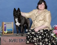 Service dog - Kiki, a female Siberian Husky for sale in Ashland, VA – 3 of 6