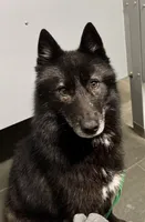 processed/944883b1-5858-4e7e-82eb-cec7e26d2e88/listing/77bf8dce-f9cb-40f8-9f25-28988338f26a/1cbb6728-a676-4521-a0cf-1083b0f35e80