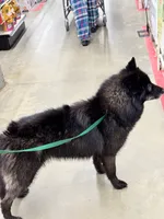 processed/944883b1-5858-4e7e-82eb-cec7e26d2e88/listing/77bf8dce-f9cb-40f8-9f25-28988338f26a/3d9d89dc-c3c9-4b60-b804-85c80cb4b555