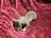 processed/944883b1-5858-4e7e-82eb-cec7e26d2e88/listing/ae5e6dd2-13d4-410b-bc50-9c8a3debcfce/03b20aa0-928b-494b-8c1e-3cb19d902887