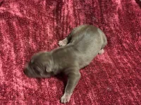 processed/944883b1-5858-4e7e-82eb-cec7e26d2e88/listing/ae5e6dd2-13d4-410b-bc50-9c8a3debcfce/a413e883-6f53-452c-be94-1b595fe67bdf