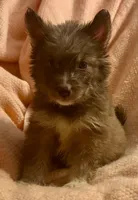 processed/944883b1-5858-4e7e-82eb-cec7e26d2e88/listing/ae5e6dd2-13d4-410b-bc50-9c8a3debcfce/f6677277-a1aa-4553-ad8c-e8cf8d3cc238