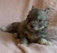 processed/944883b1-5858-4e7e-82eb-cec7e26d2e88/listing/ec844623-dbc3-48e7-931f-67427e5ab181/3a6de074-26a1-45f3-9f83-a92dd612f120