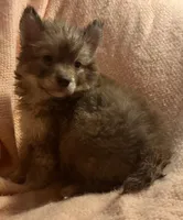 processed/944883b1-5858-4e7e-82eb-cec7e26d2e88/listing/ec844623-dbc3-48e7-931f-67427e5ab181/5077bece-f958-4c19-b76a-634eca21c12c