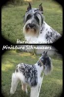 processed/944927f0-9057-46dd-b965-b544b60c5eb1/facility/03e2c607-b5c5-45e2-8ccf-e38af3f1372b