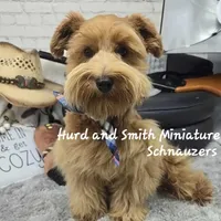 processed/944927f0-9057-46dd-b965-b544b60c5eb1/facility/1865d0e3-e78a-48ea-8b48-009a08a67429