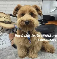 processed/944927f0-9057-46dd-b965-b544b60c5eb1/facility/1865d0e3-e78a-48ea-8b48-009a08a67429