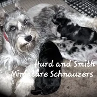 processed/944927f0-9057-46dd-b965-b544b60c5eb1/facility/25fc2383-c61e-4b1e-8a2c-d38e5157ecf7