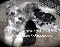 processed/944927f0-9057-46dd-b965-b544b60c5eb1/facility/25fc2383-c61e-4b1e-8a2c-d38e5157ecf7