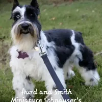 processed/944927f0-9057-46dd-b965-b544b60c5eb1/facility/478828fe-3350-4972-b6f2-e95cdd5046ff