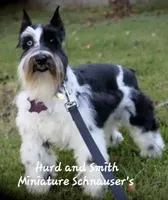 processed/944927f0-9057-46dd-b965-b544b60c5eb1/facility/478828fe-3350-4972-b6f2-e95cdd5046ff