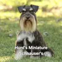 processed/944927f0-9057-46dd-b965-b544b60c5eb1/facility/675ab4c8-9de1-4b8f-b5fc-f48173a56a31