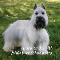 processed/944927f0-9057-46dd-b965-b544b60c5eb1/facility/68cc2436-5ea2-4d51-8fa7-632771acd6fd