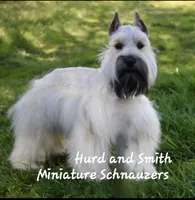 processed/944927f0-9057-46dd-b965-b544b60c5eb1/facility/68cc2436-5ea2-4d51-8fa7-632771acd6fd