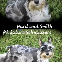 processed/944927f0-9057-46dd-b965-b544b60c5eb1/facility/92583b63-cb53-4b9d-9ff2-28f2d72e5f44