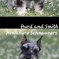 processed/944927f0-9057-46dd-b965-b544b60c5eb1/facility/b4d00002-90f5-4e4a-984e-f03e5b187131