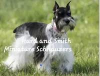 processed/944927f0-9057-46dd-b965-b544b60c5eb1/facility/b4f7047e-3cd7-4186-adc0-9c2a772ef3ae