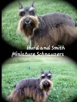 processed/944927f0-9057-46dd-b965-b544b60c5eb1/facility/dfac3c3a-761e-4b22-ae64-5b2089cf57e4