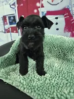 processed/944927f0-9057-46dd-b965-b544b60c5eb1/listing/30d11194-8126-4032-a4c2-942ea98e1701/2ed1109b-9aaa-4da9-a76a-8d54e97696d2