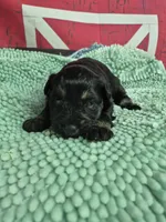 processed/944927f0-9057-46dd-b965-b544b60c5eb1/listing/3e88d268-d40f-42d9-ad20-938bbd25d943/238b0dae-eabc-424e-85f7-892c412fc9eb