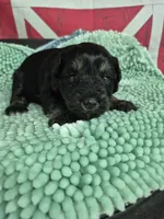 processed/944927f0-9057-46dd-b965-b544b60c5eb1/listing/3e88d268-d40f-42d9-ad20-938bbd25d943/919d3a72-ad99-4752-8a65-1a2e6b316a4d