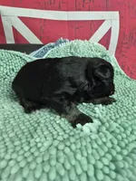 processed/944927f0-9057-46dd-b965-b544b60c5eb1/listing/3e88d268-d40f-42d9-ad20-938bbd25d943/9a266289-0f47-49f4-8596-ce46065172f0