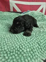 processed/944927f0-9057-46dd-b965-b544b60c5eb1/listing/3e88d268-d40f-42d9-ad20-938bbd25d943/c544b01a-4f38-4db4-b5c4-98da034afbfb