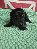 processed/944927f0-9057-46dd-b965-b544b60c5eb1/listing/3e88d268-d40f-42d9-ad20-938bbd25d943/f5964d72-7490-4bd7-8621-10aaae03933d