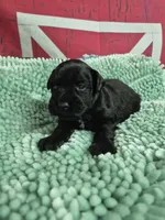 processed/944927f0-9057-46dd-b965-b544b60c5eb1/listing/61dd1b62-8890-46c3-94e3-b7b3074ffb8e/0bedd648-e119-4af5-80c6-5d0b51cef84c