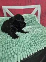 processed/944927f0-9057-46dd-b965-b544b60c5eb1/listing/61dd1b62-8890-46c3-94e3-b7b3074ffb8e/145a6d6c-bc4f-4b8f-8812-03a0c28b9a19