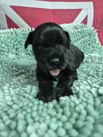 processed/944927f0-9057-46dd-b965-b544b60c5eb1/listing/61dd1b62-8890-46c3-94e3-b7b3074ffb8e/d1ce58e9-81d6-45ec-9842-f7b77132f4e7