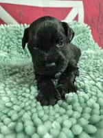 processed/944927f0-9057-46dd-b965-b544b60c5eb1/listing/61dd1b62-8890-46c3-94e3-b7b3074ffb8e/ebd7c03f-6559-4e73-a595-fbd3c4fca8c1