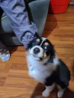 processed/944b5485-0eb2-4227-8bc1-f734cd50d410/listing/d00c6f4e-3e57-421b-8786-06e685947e5b/15907e0d-4d04-4869-9ef9-d90a537d0d60