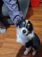 processed/944b5485-0eb2-4227-8bc1-f734cd50d410/listing/d00c6f4e-3e57-421b-8786-06e685947e5b/2862d680-cbda-4fb2-bbd1-1d0b8028405d