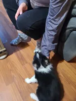 processed/944b5485-0eb2-4227-8bc1-f734cd50d410/listing/d00c6f4e-3e57-421b-8786-06e685947e5b/c29752a4-115e-4e7d-b704-841ab32b025a