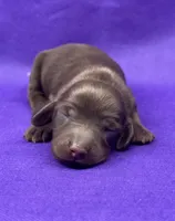 processed/945bc8ff-fe27-4bac-8a8a-587479f1d271/listing/b8363696-a01f-454b-a5bd-66bf0a2b0f57/ac57a760-9ea2-4ac3-adcb-6346b70617c0