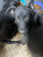 processed/946c2344-c34a-4b0a-a494-63977de37748/listing/6b418b23-8bbf-4b2b-a592-cc09dbc4d372/5d993004-914c-47d4-a716-3ba98dadc408